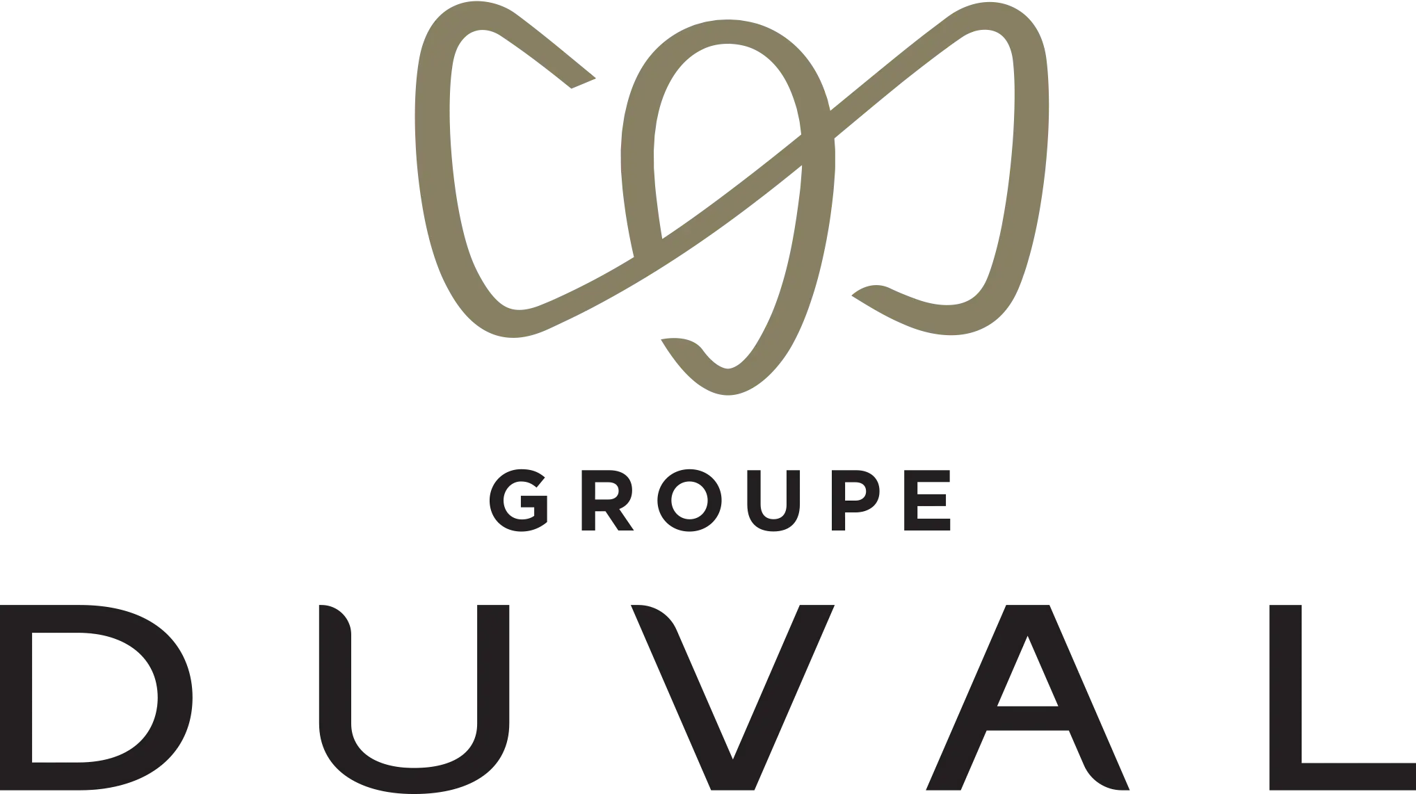 Logo Duval